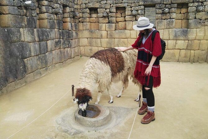 Machu Picchu Full Day - Private Tour - Bus to the ruins: the part of the day you should plan for