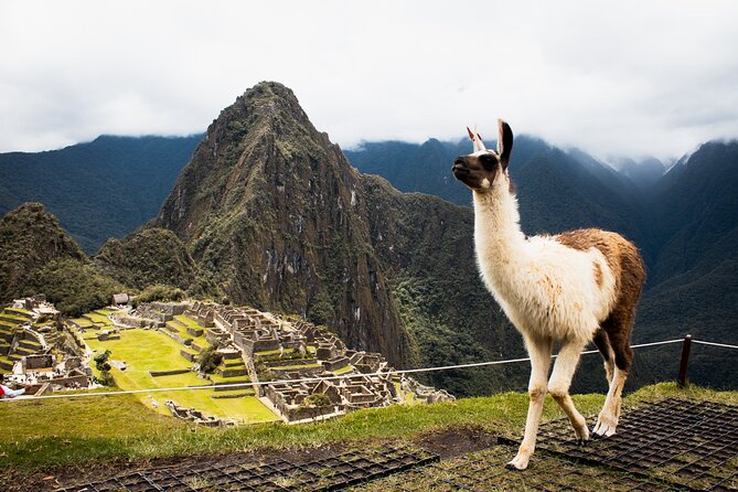 Machu Picchu Full-Day Tour by Train from Cusco - Small Group - A very early start, and why it actually helps