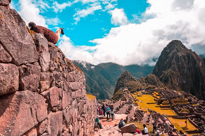 Machu Picchu Full-Day Tour by Train from Cusco - Small Group - Up to Machu Picchu: guided circuit plus time to find your own pace