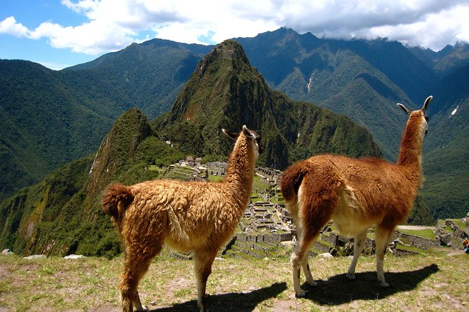 Machu Picchu Full-Day Tour from Cusco with Panoramic Train - The early start is part of the deal, and it pays off