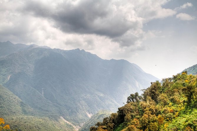 Machu Picchu Full-Day Tour from Cusco with Panoramic Train - The scenic panoramic train to Aguas Calientes (about 1.5 hours)