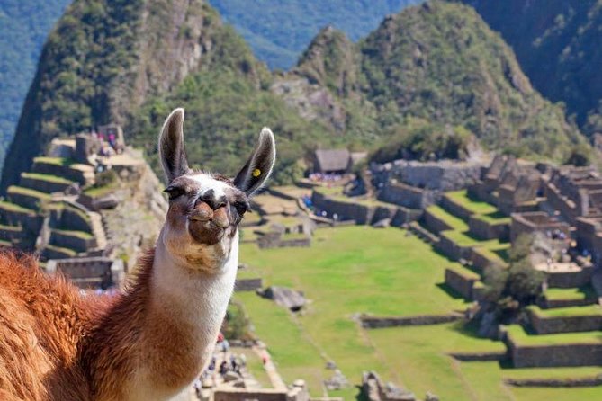 Machu Picchu Full Day Tour from Cusco with Train & Entrance - Return train and the Cusco drop-off: Ollantaytambo then home