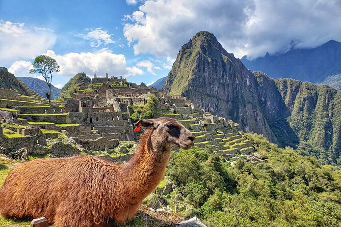 Machu Picchu Full Day Tour with a Private Guide - Meeting Your Machu Picchu Guide and Entering the UNESCO Site
