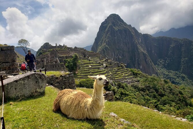 Machu Picchu Full Day Tour with a Private Guide - Aguas Calientes: Lunch, Shopping, and the Short Break You Need