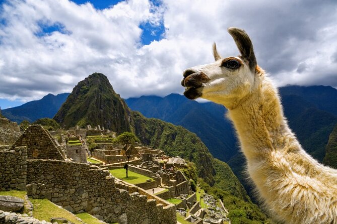 Machu Picchu Full Day with lunch by Aludi Travel - Cusco pickup to train to Machu Picchu: how the timing really works