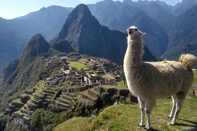 Machu Picchu Private Day Trip from Cusco - Key highlights at a glance