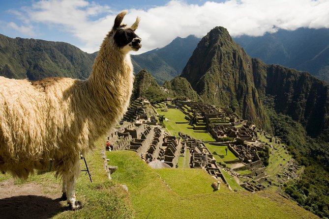 Machu Picchu Private Guided Tour from Aguas Calientes - Timing, pacing, and comfort on stairs and terraces