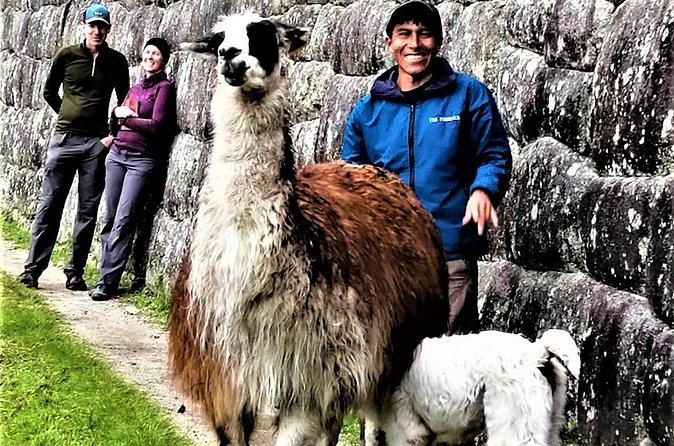 Machu Picchu: Private Tour Guide Service (2-3 Hours) - Circuit 2, Circuit 3, or Circuit 1: Choosing Your Route Wisely