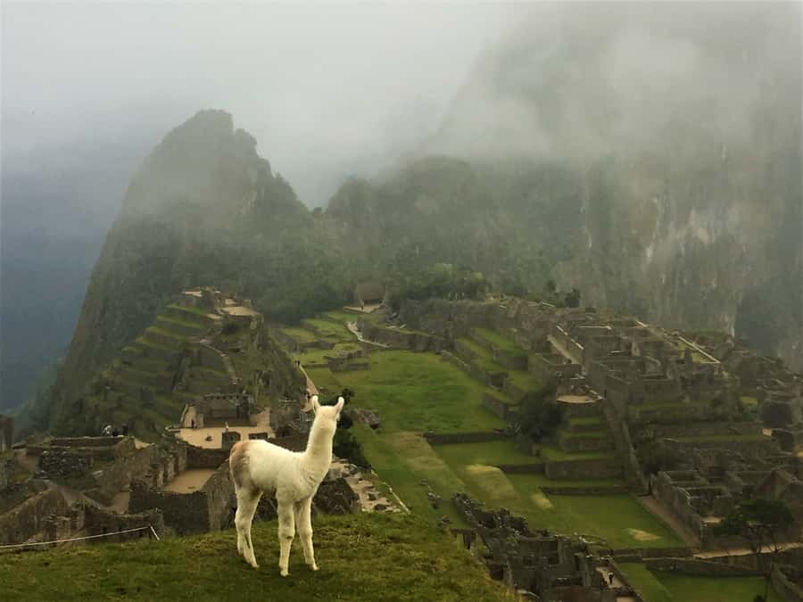 Machu Picchu: Private Tour Guide Service - Optional add-on hikes: Montaña, Huayna Picchu, or Huchuy Picchu