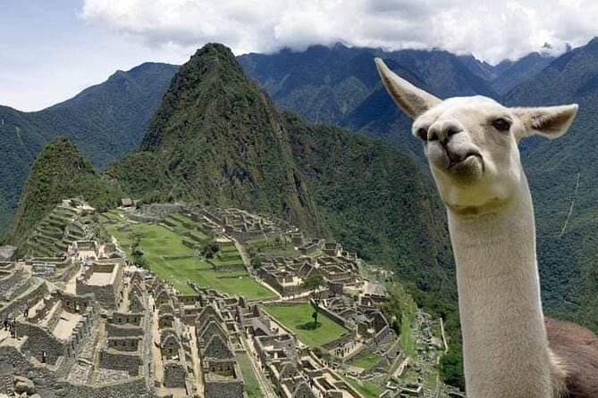Machu Picchu Small Group Day Tour from Cusco - The 2.5-Hour Guided Walk: How the Site Gets Real