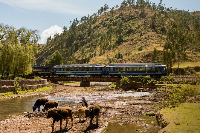 Machu Picchu Tour Full Day by Train - Cusco to Machu Picchu by train, and why that matters