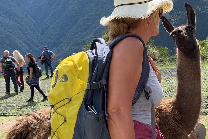 Machu Picchu Tour in 1 Day - The bus ride to Machu Picchu: why it is part of the experience