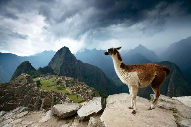 MachuPicchu Private Full Day Tour by Vistadome train from Cusco - The 5:00 AM Start: Cusco Pickup and the Sacred Valley Drive