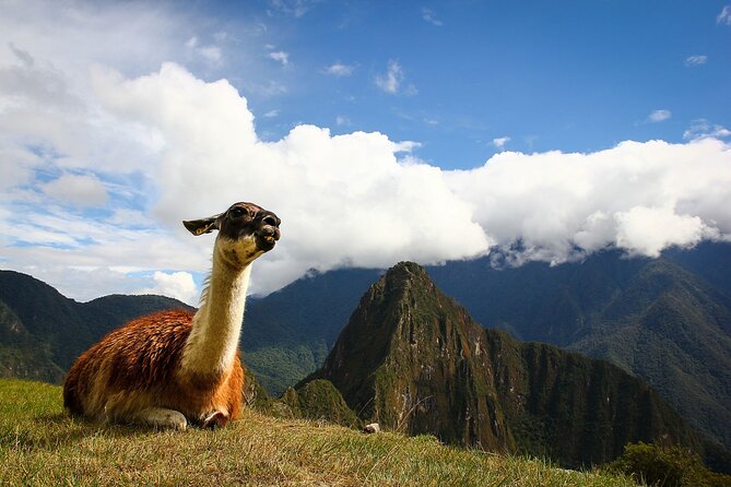 Machupicchu - Private Guide - Why this private Machu Picchu day feels easier than DIY