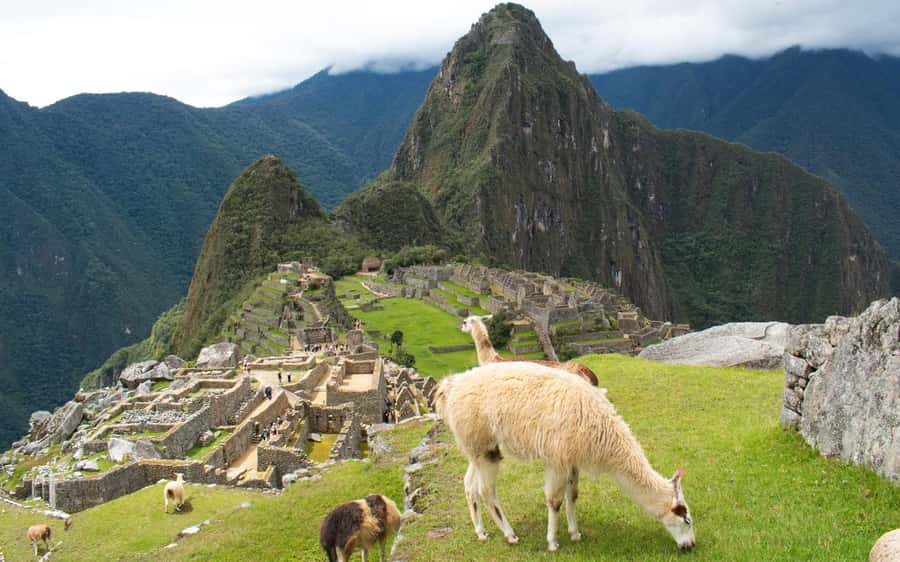 Machupicchu tour by tourist train in 2 days - Photo time, crowd reality, and how to avoid getting stressed