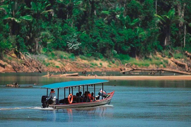 Manu Jungle Tour (4 Days) - Price and logistics: what you pay for, and why it adds up