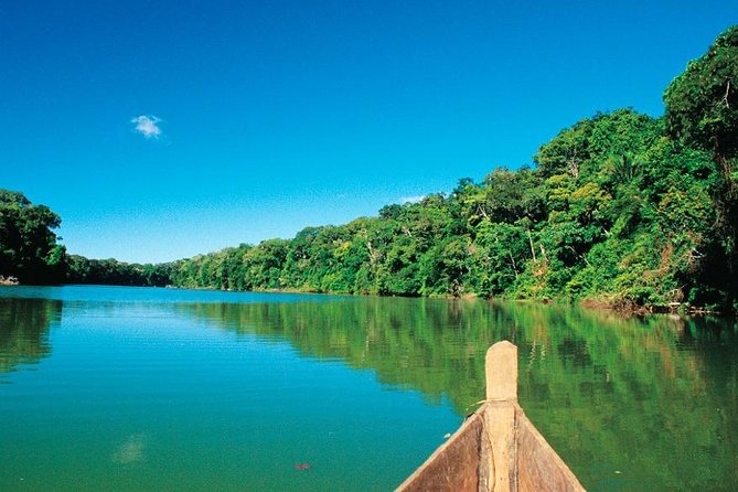 Manu Jungle Tour (4 Days) - Who this Manu Jungle Tour suits best, and who should think twice