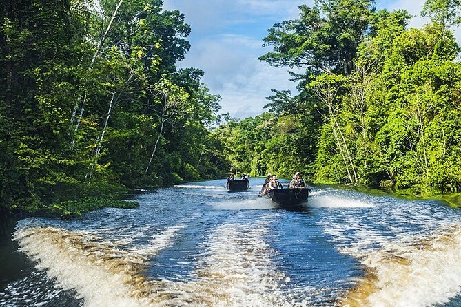 Manu Jungle Tour from Cusco (4 Days) - Treehouse INN: meals, mosquito nets, and the night-walk factor