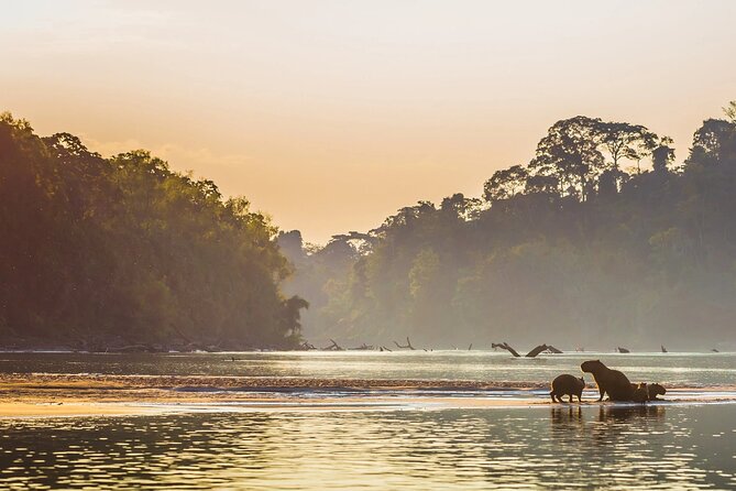 Manu National Park Tour 4 Days/3 Nights - Machuhuasi Lagoon by Wooden Raft and the Jungle’s After-Dark Rhythm
