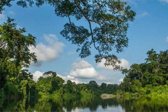 Manu National Park Tour 4 Days/3 Nights - What You’re Really Paying For: Value, Guide Time, and Included Admissions
