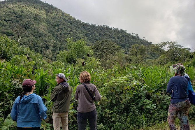 Manu National Park Tour 4days/3night - Food and the Small Details That Make Jungle Days Easier