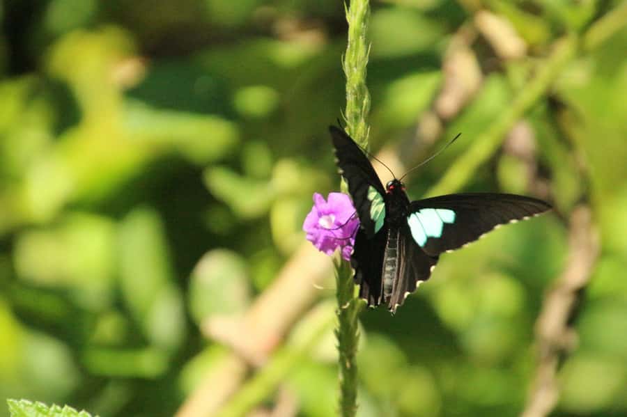 Manu National Park Tours from Cusco 5 Days - Lodges and meals: the comfort stuff that makes rainforest time easier