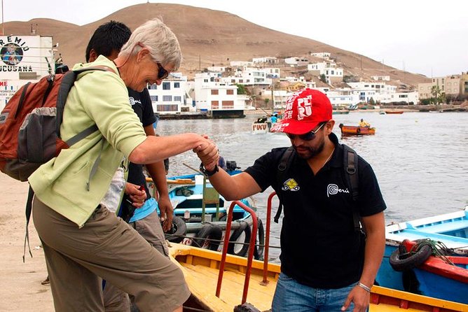 Marine wildlife observation in a fishing village - Pucusana fishing village: the coast with real jobs, not just scenery