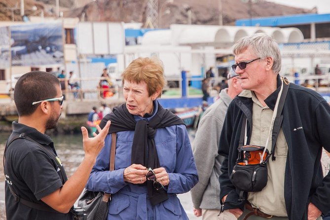 Marine wildlife observation in a fishing village - The 8:00 am schedule and pickup that keeps your morning sane