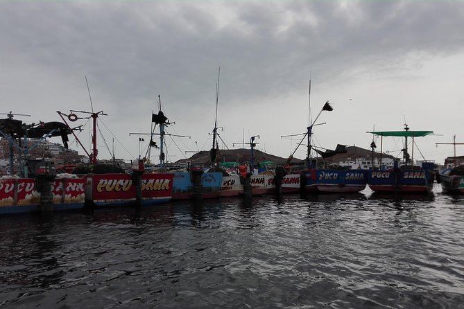 Marine wildlife observation in a fishing village - Guides make the difference: Nilton and Antonio as examples
