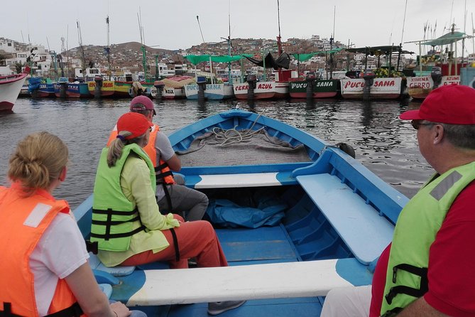 Marine wildlife observation in a fishing village - Comfort checklist: what to bring so the day feels easy