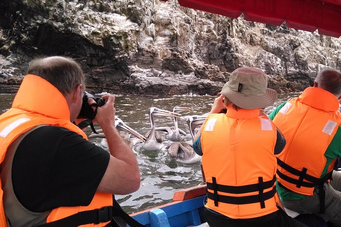 Marine wildlife observation in a fishing village - The Pucusana wildlife stop: why local behavior matters