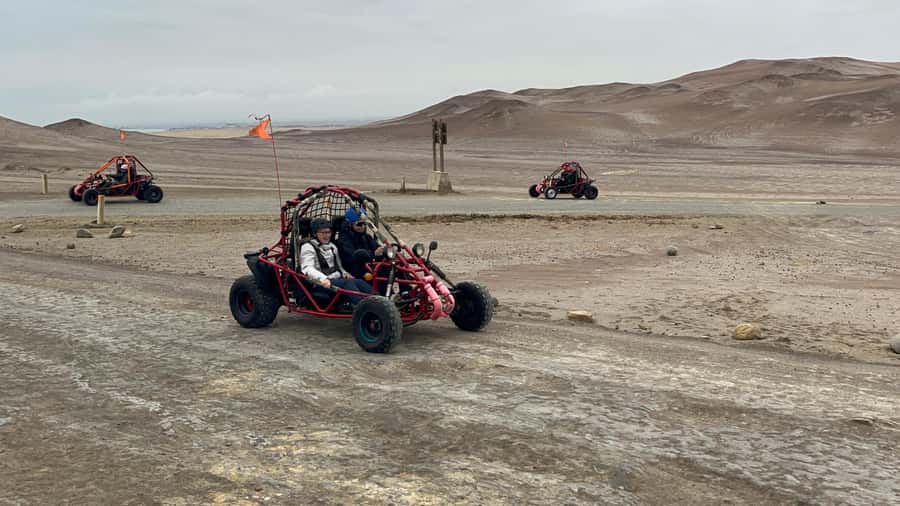 Mini Buggy GO KART in Paracas National Reserve - Price and Value in Ica Region (What $55 Includes)