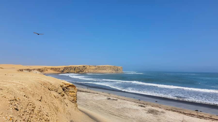 Mini Buggy GO KART in Paracas National Reserve - Included Extras That Improve the Day (Not Just the Ride)