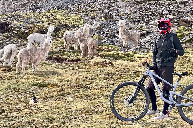 Mountain Biking Enduro - MTB Sacred Valley Lares - Sacred Valley enduro, done like a local training day