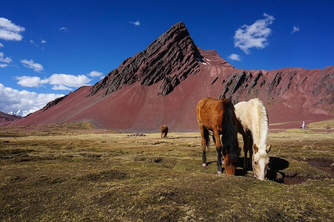Mountain Hike Colors full day - with guide - How the 10 to 11 hour day plays out on your body