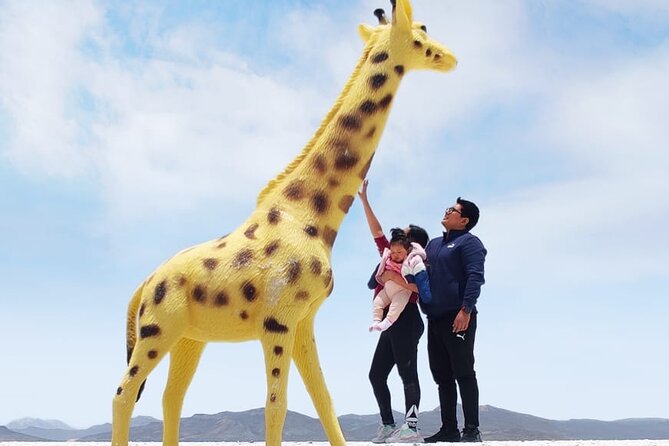 National Reserve of Salinas and Aguada Blanca - Salinas y Aguada Blanca: salt flats, water mirrors, and real wildlife
