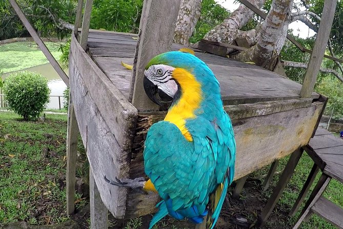 Native Aquatic Species, Jungle Hike & Animal Rescue Center -All tickets included - Amazon-fast and still meaningful: how the day is paced