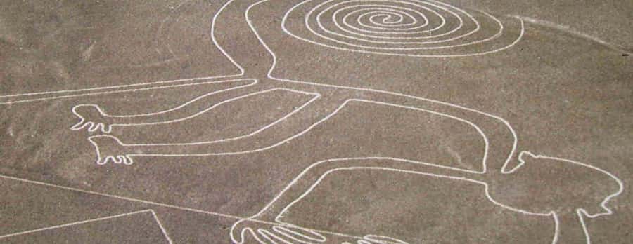 Nazca: Light aircraft flight over the Nazca Lines - Why a short Cessna flight beats trying to see Nazca from the ground