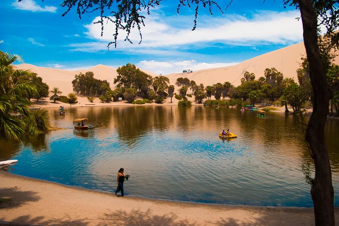 Nazca Lines and Dune Buggy (Huacachina) from Ica - Key highlights worth planning for