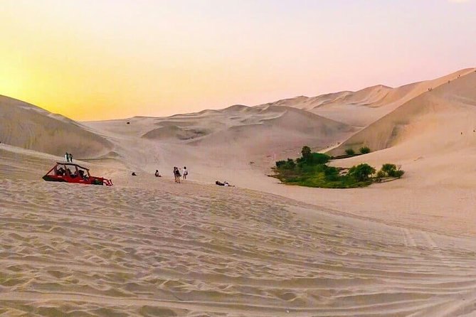 Nazca Lines and Dune Buggy (Huacachina) from Ica - The tubular buggy and sandboarding session at Huacachina