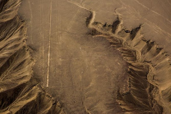 Nazca Lines and Dune Buggy (Huacachina) from Ica - Who should book this Nazca and Huacachina combo