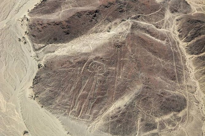 Nazca Lines and Huacachina Oasis from Lima - Huacachina Oasis After the Flight: Photos, Palm Trees, and Sunset Time