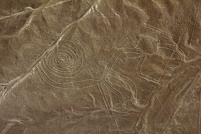 Nazca Lines & Ballestas Islands Private Tour Bus&Flight from Lima - Lunch and the Return to Lima: When the Day Slows Down