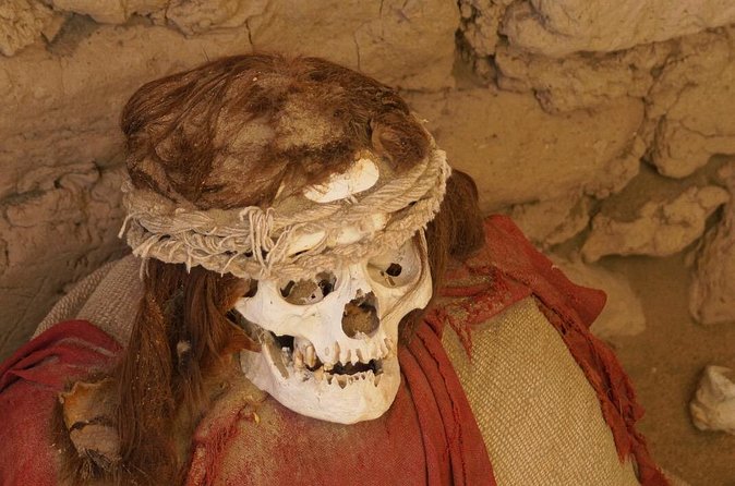 Nazca Lines flight and Chauchilla Cemetery - The Nazca Lines overflight: how to get the most from 30 minutes