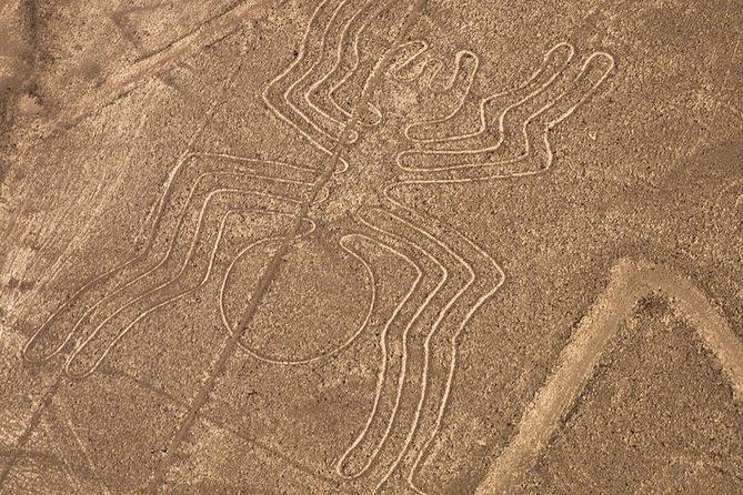 Nazca lines - from Nazca airport - Pickup Zone Limits in Nazca, and the Cash Extra