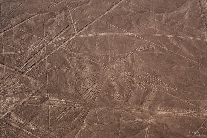 Nazca lines - from Nazca airport - Motion Sickness and the Small-Plane Factor