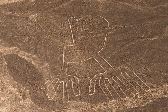 Nazca Lines from Pisco CRUISESHIP TERMINAL - Key things to know before you go