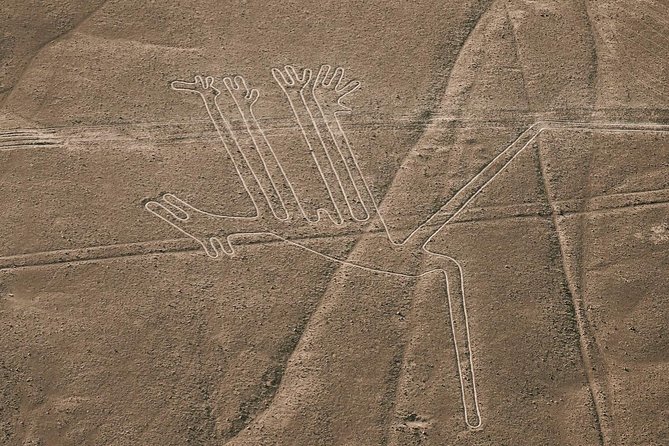 Nazca Lines from Pisco CRUISESHIP TERMINAL - Timing your cruise day, and what can go wrong