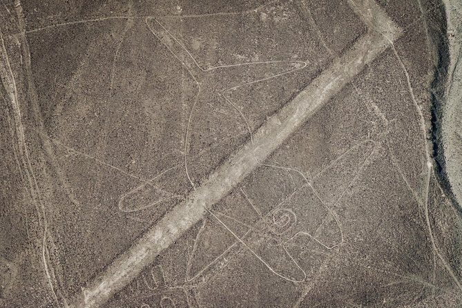 Nazca Lines from Pisco CRUISESHIP TERMINAL - Who should book this Nazca Lines flight, and who should pause