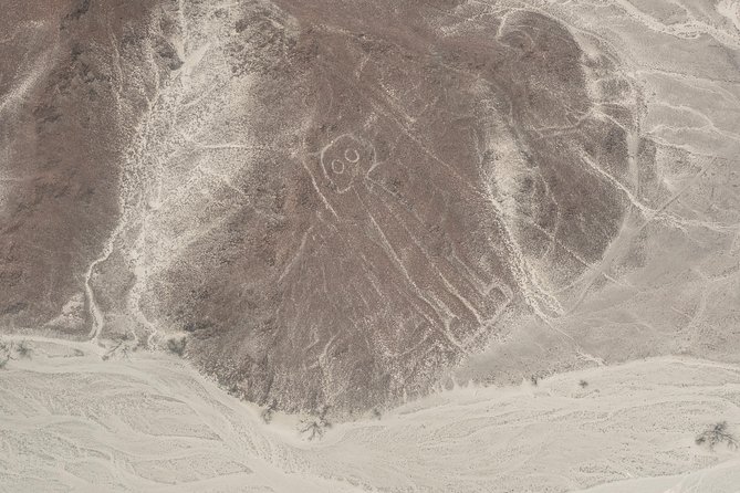 Nazca Lines Full Day Trip from Lima - The long-drive reality: comfort, rest stops, and motion sickness planning